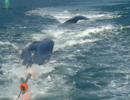 ドラコンバージ(海上輸送 / 備蓄用)