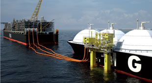 液化ガスホース